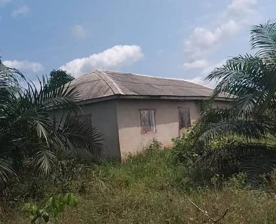 13 acres of fertile farmland with building and water tank available for sale in Ogun
