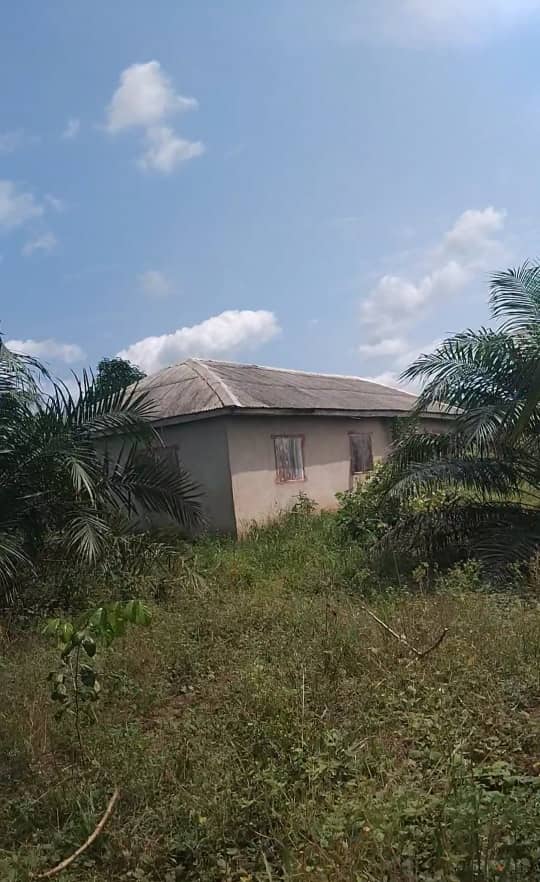 13 acres of fertile farmland with building and water tank available for sale in Ogun