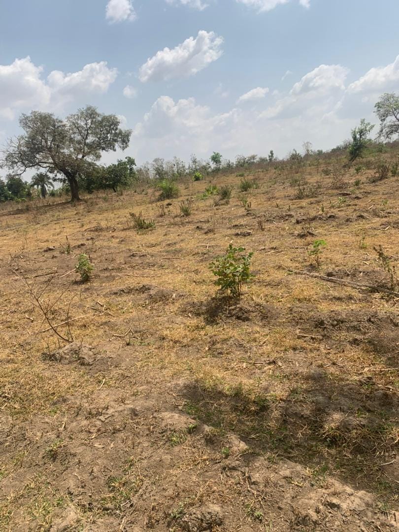 78.9 Acres of Prime Land for Sale Along Sagamu–Benin Expressway (After Babcock University, Before Odogbolu Junction)