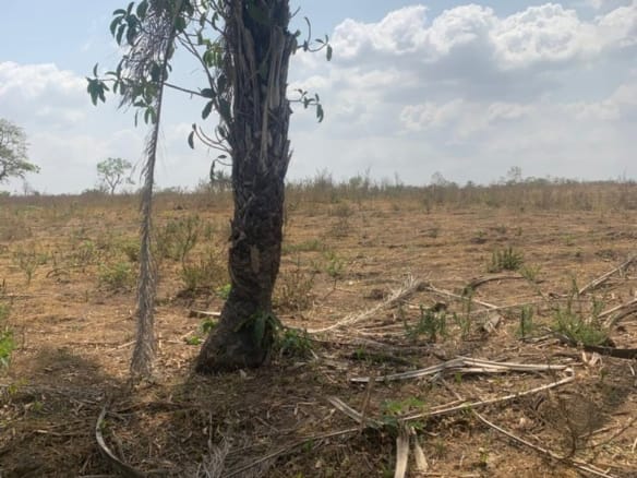 52 Acres of Industrial Land Facing Sagamu–Papalantoro Expressway Near Nestlé FlowerGate Factory – C of O