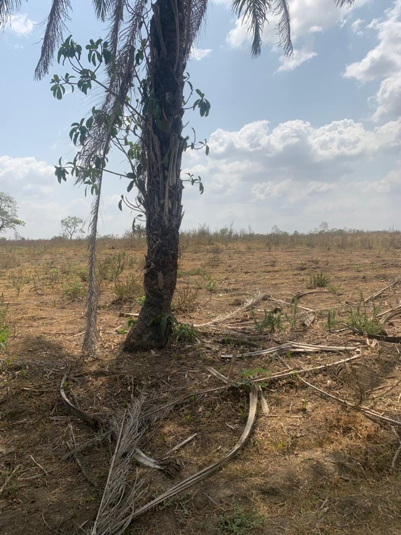 52 Acres of Industrial Land Facing Sagamu–Papalantoro Expressway Near Nestlé FlowerGate Factory – C of O