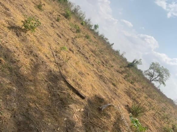 55 Acres of Prime Industrial Land Facing Sagamu–Papalantoro Expressway