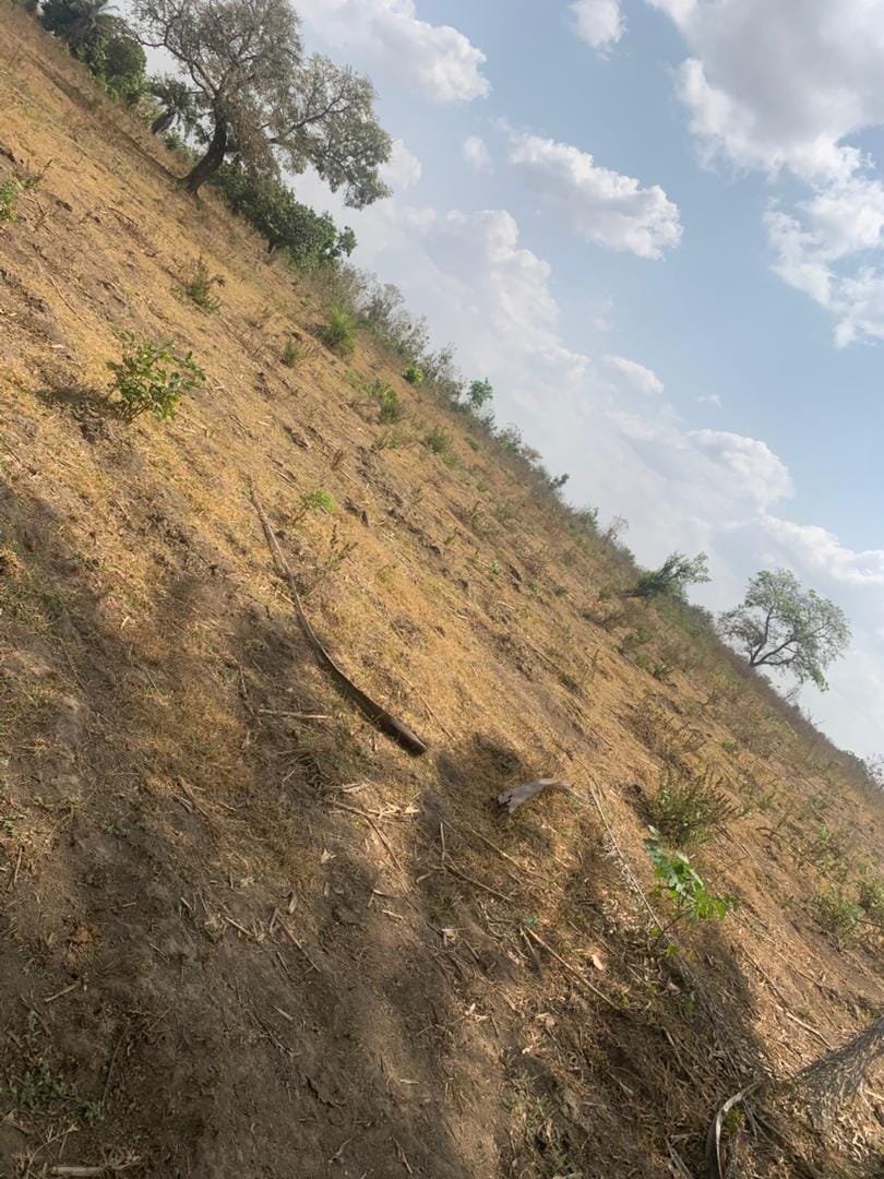 WhatsApp Image 2026-03-03 at 5.21.58 PM (5)