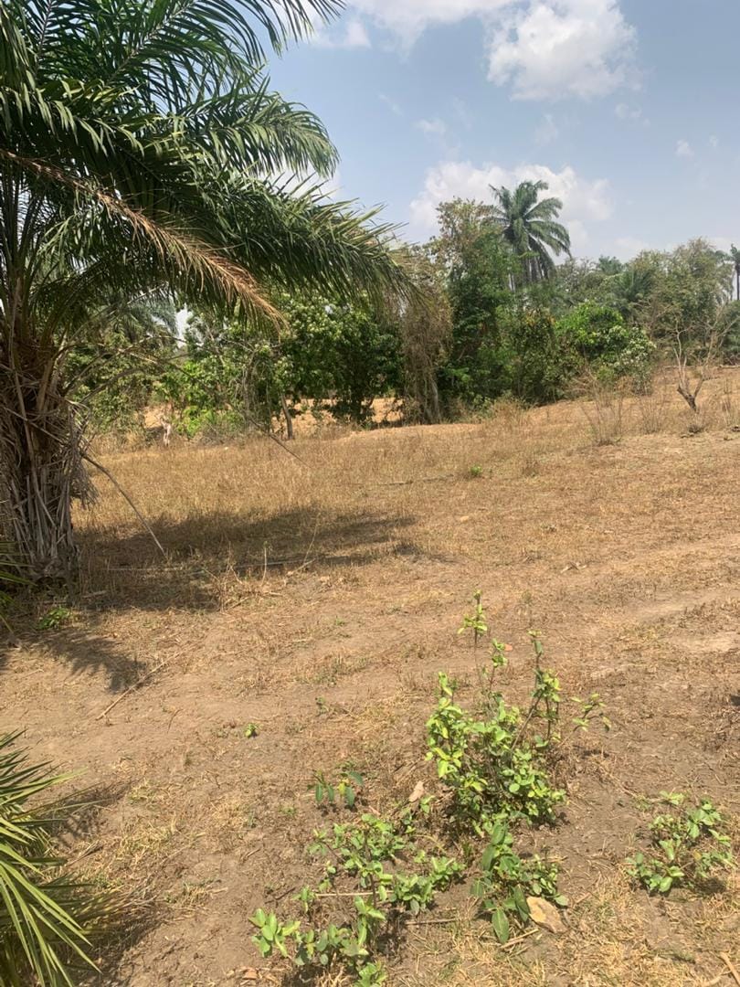 WhatsApp Image 2026-03-03 at 5.21.58 PM (6)