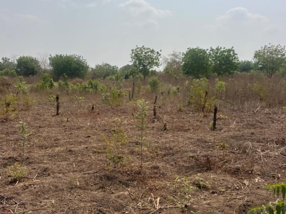 20 Acres of Prime Land for Sale Facing Lagos–Ibadan Expressway – Ajanla Area, Ogun State