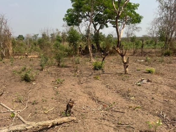 206,000 Acres of Farmland for Sale at Imeko Afon – Imeko Afon LGA, Ogun State