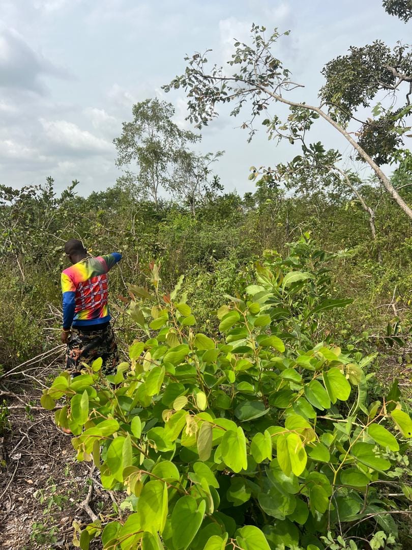 WhatsApp Image 2026-03-03 at 5.23.58 PM (1)