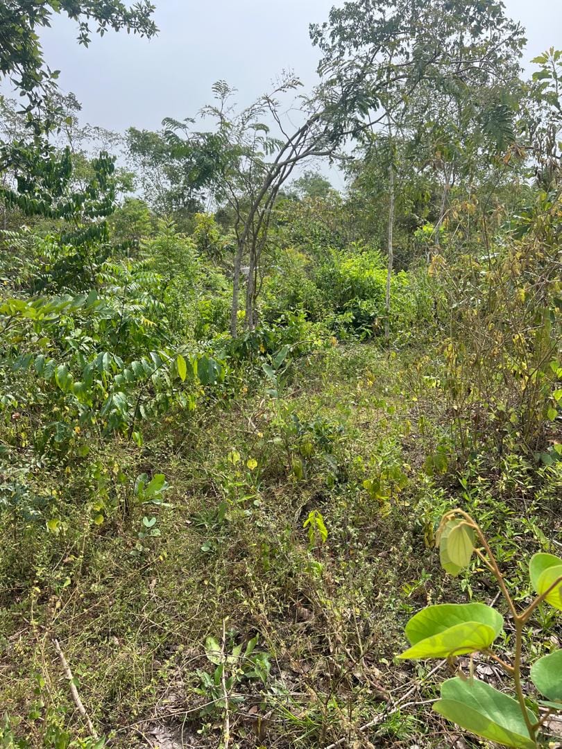 WhatsApp Image 2026-03-03 at 5.23.58 PM