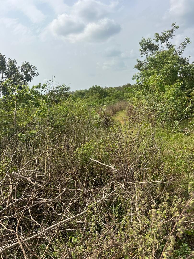 WhatsApp Image 2026-03-03 at 5.23.59 PM (1)