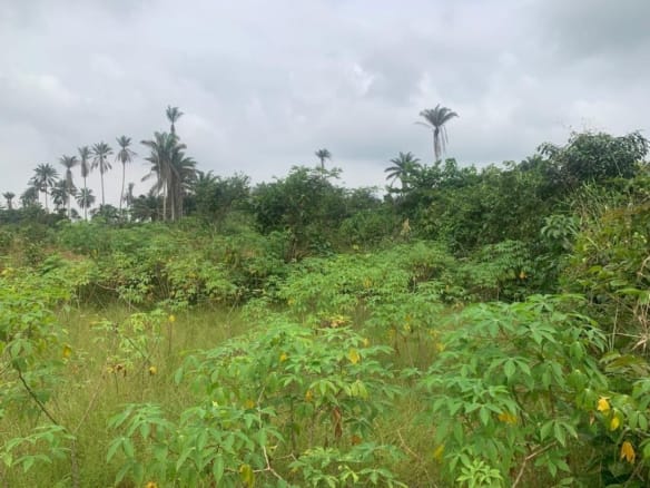 270 Acres of Industrial Land for Sale at Kajola Village, Off Abeokuta–Sagamu Expressway – Obafemi Owode LGA, Ogun State