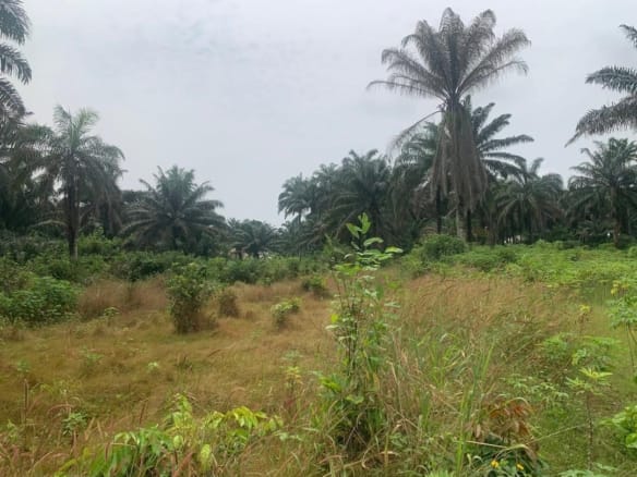 33 Hectares of Prime Land for Sale Facing Ijebu Ode–Sagamu Expressway – Sagamu LGA, Ogun State