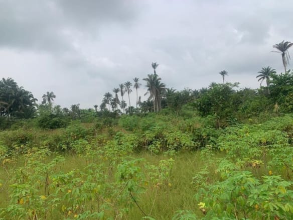 100 Acres of Prime Land for Sale Facing Abeokuta–Sagamu Expressway – Day Waterman, Ogun State