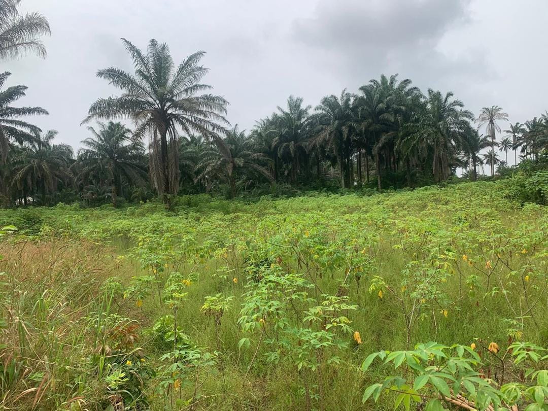 285 Acres of Industrial/Commercial Land for Sale Facing Abeokuta–Sagamu Expressway – Olorunsogo, Ogun State