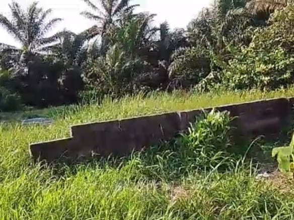 2 Plots of Land at Iwofe