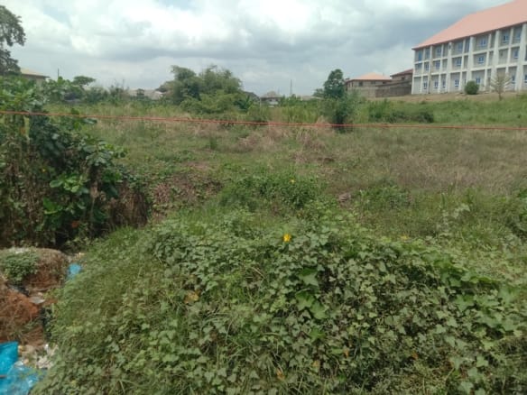 Prime hectares of land with C of O Along Lagos/Ibadan Expressway