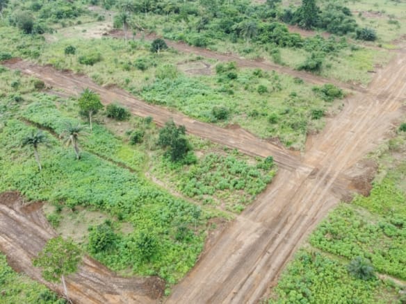 Estate LAND FOR SALE in Oyigbo, opposite Afam Power Station