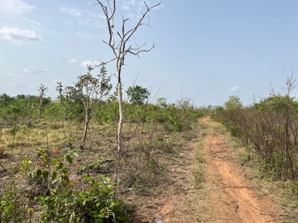 126 Acres Agricultural farmland for sale at Iwajowa Local Government, Oyo State