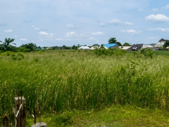60 Acre of land for sale at inside checking point Badagry express way.
