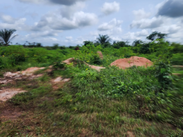 Land for sale in Obagie Community, Egor