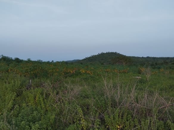20 Acres of Land Available for Sale at Iseyin-Ogbomoso express way