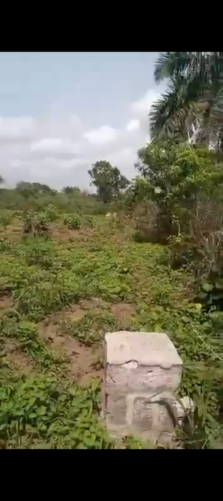 1000445016