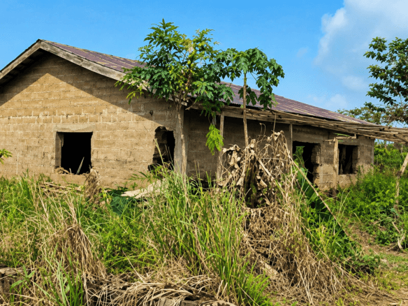 20 Acres of Farmland for sale at Ogere, Ikenne, Ogun