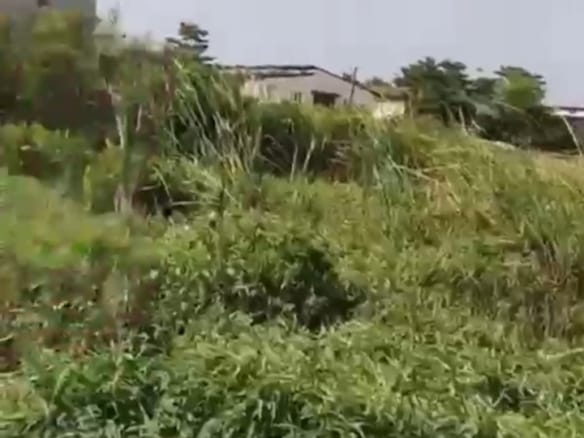 Distress Sale Land at Olokonla, Sangotedo, Lekki