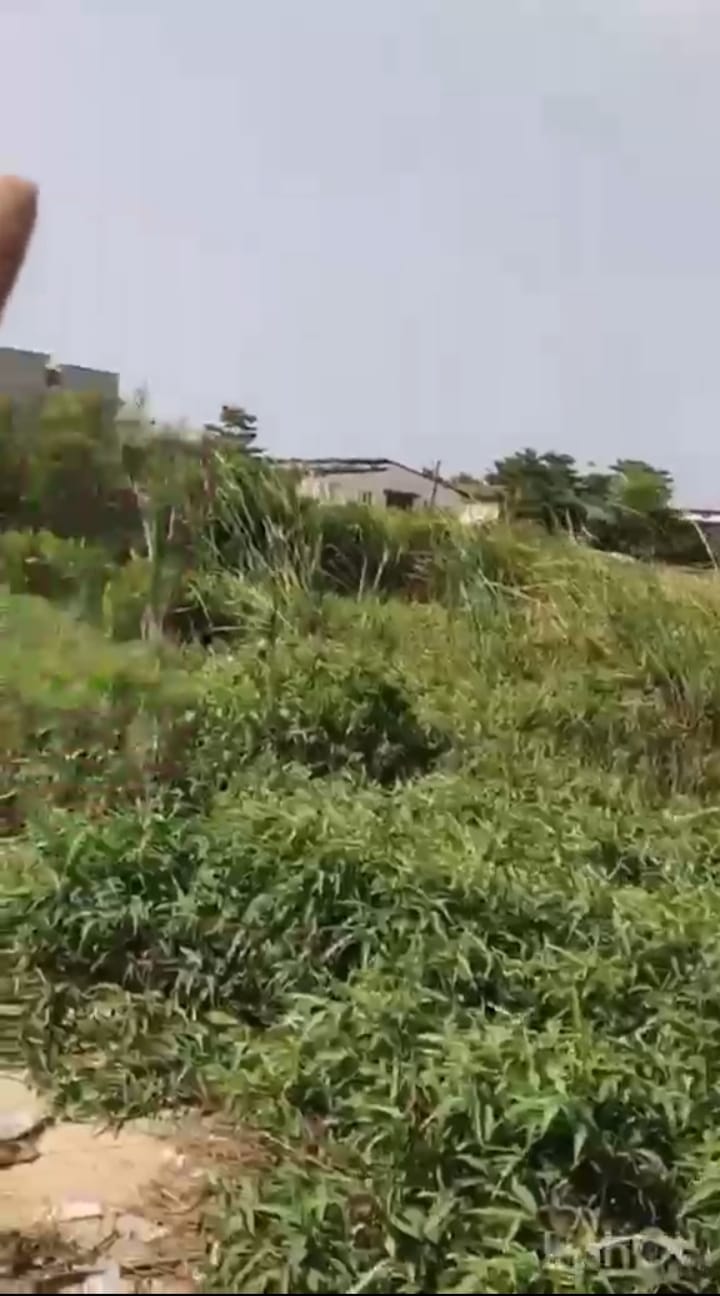 Distress Sale Land at Olokonla, Sangotedo, Lekki