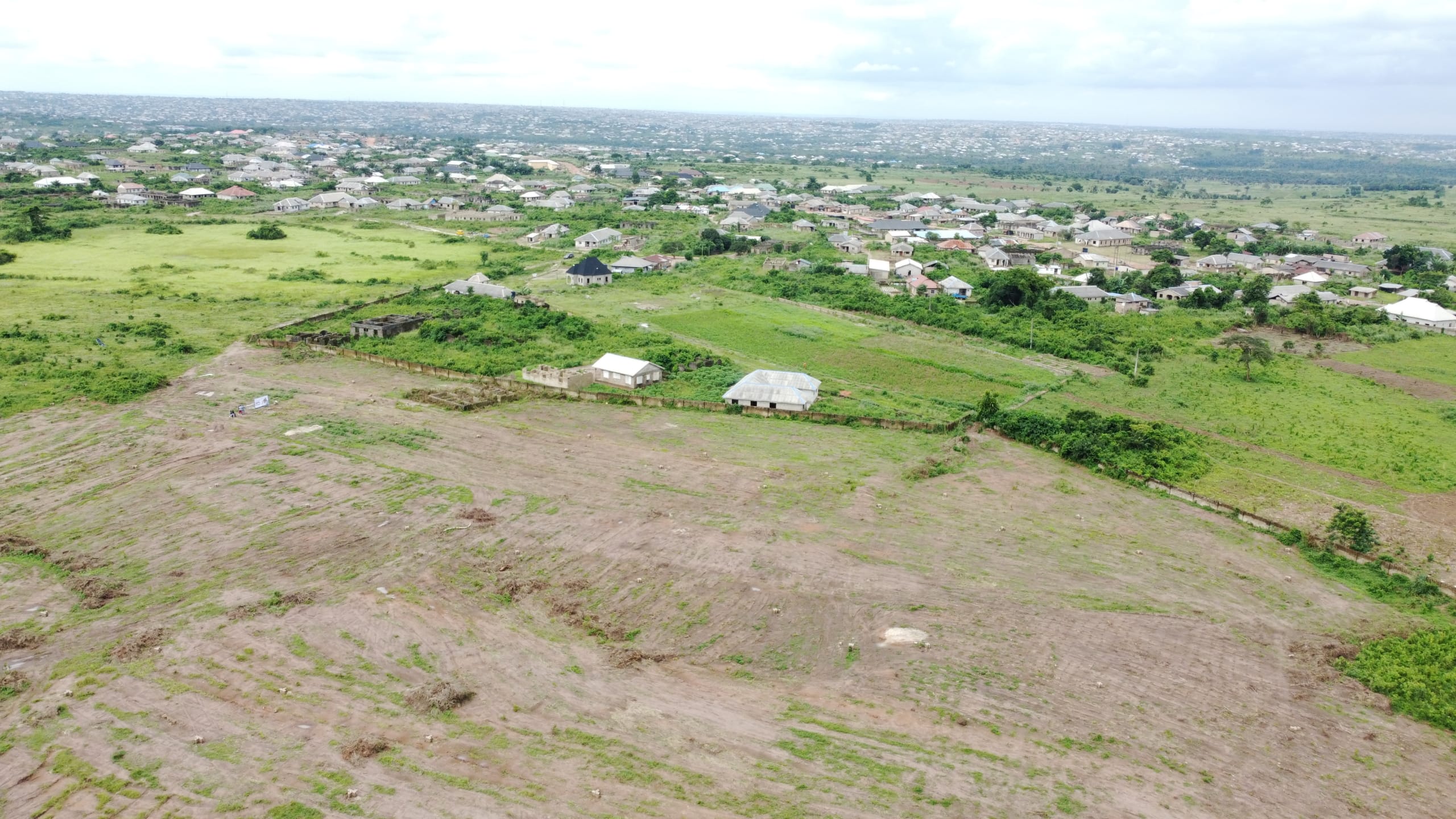 Cleared land and its immediate environs (1)