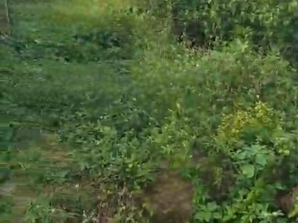 A plot of land available for sale at Ede, Osun State.