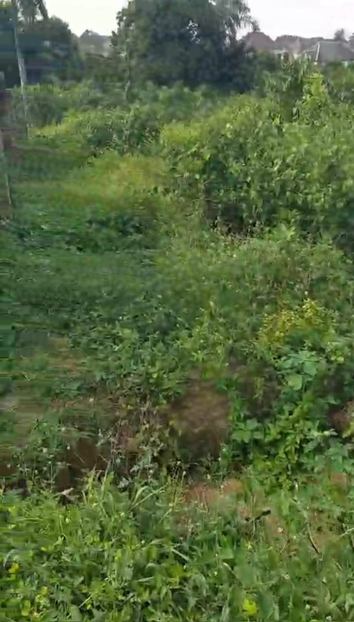 A plot of land available for sale at Ede, Osun State.
