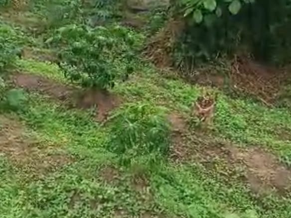  LAND FOR SALE AT BAYEKU, IGBOGBO, IKORODU