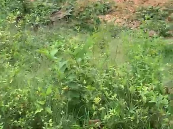 A STANDARD LAND FOR SALE IN ADO-EKITI, EKITI-STATE