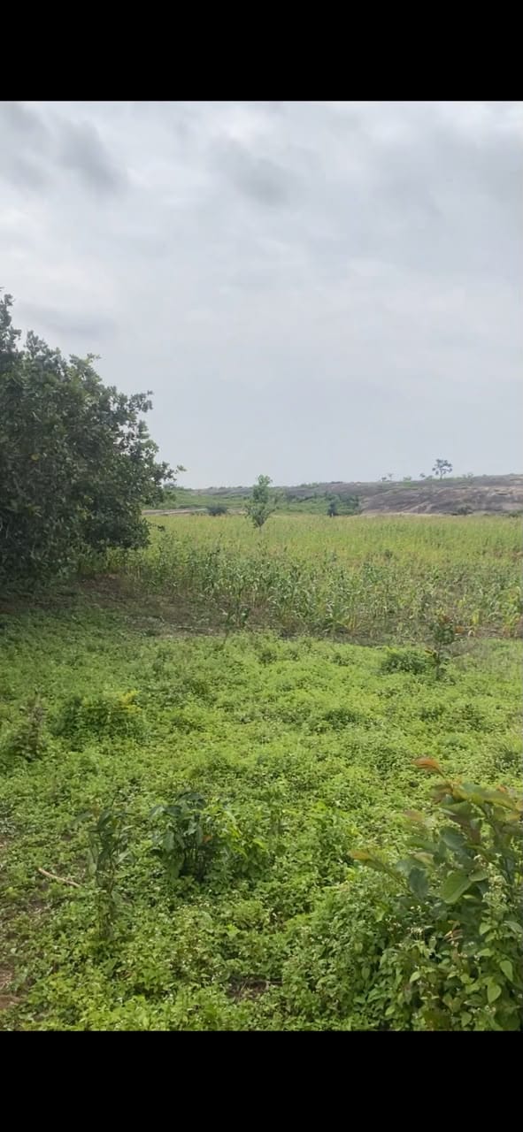 mpape land picture