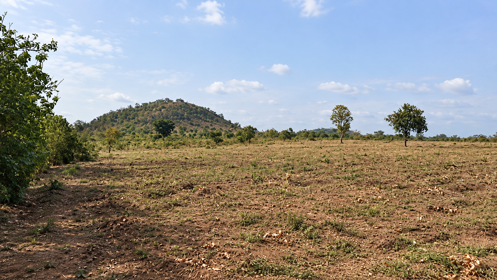 240 Hectares of Granite Rich Land for Sale in Kogi State