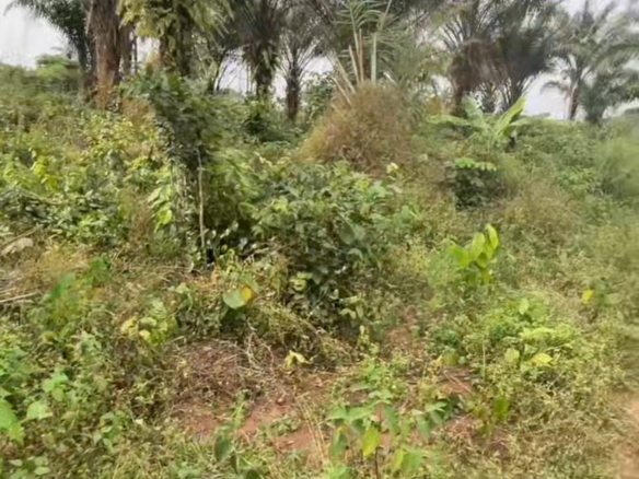 Affordable Half Plot of Land for Sale in a Prime Residential Location, Owerri – Direct from Owner.