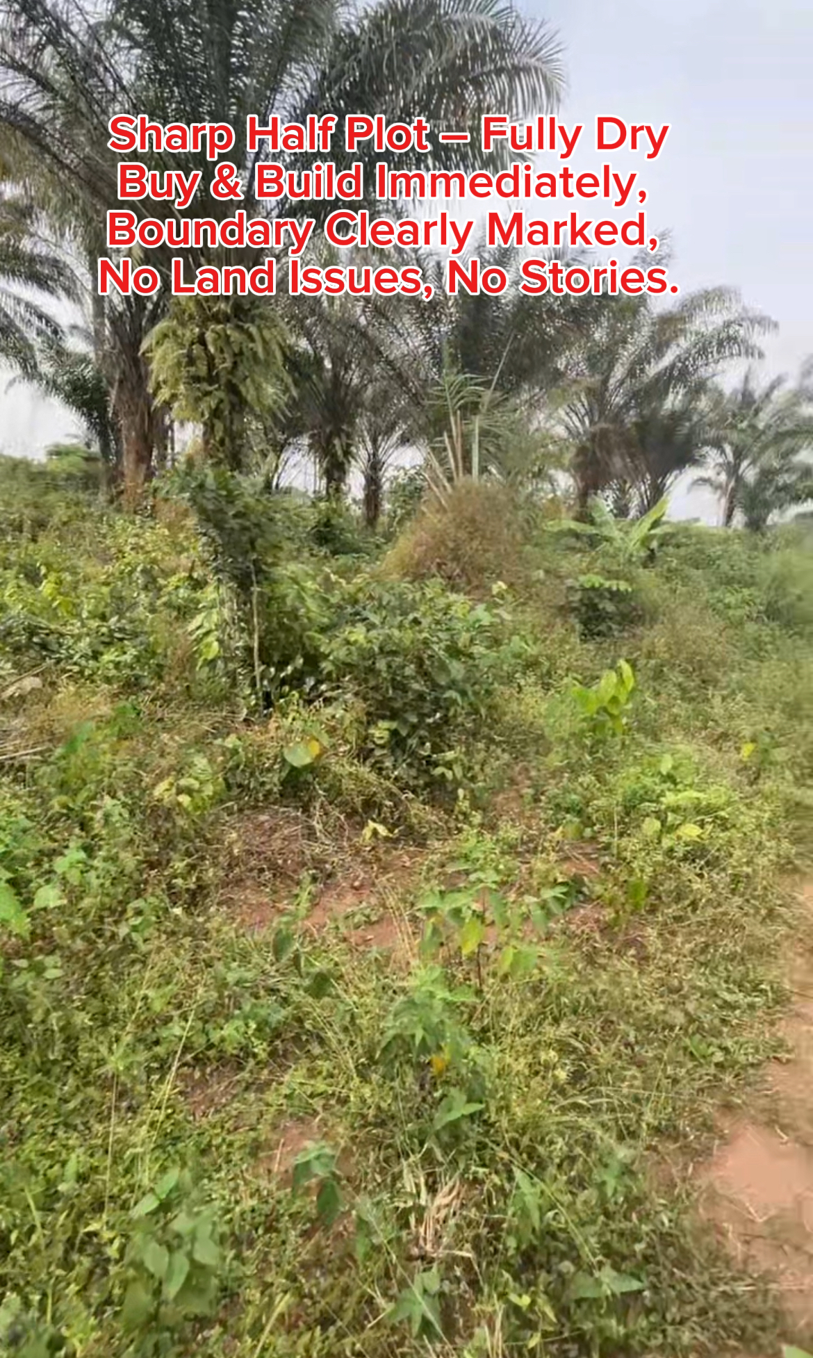 Affordable Half Plot of Land for Sale in a Prime Residential Location, Owerri – Direct from Owner.